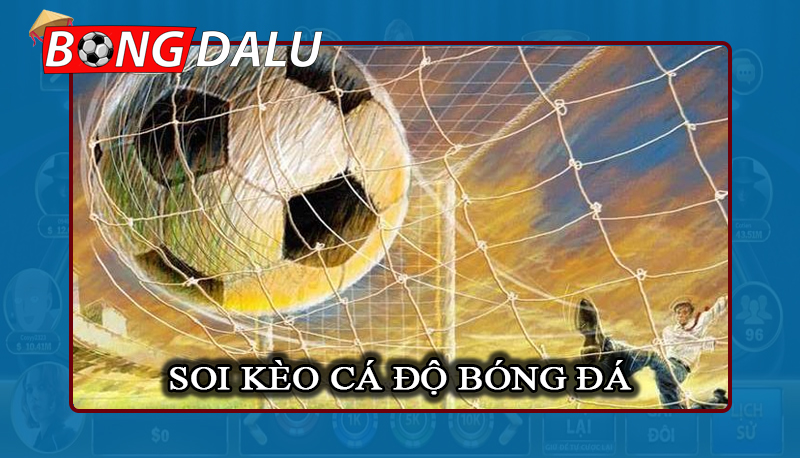 Đôi nét tìm hiểu về soi kèo cá độ bóng đá